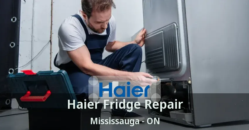 Haier Fridge Repair Mississauga - ON