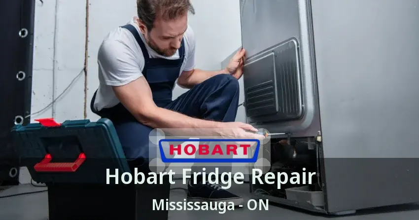 Hobart Fridge Repair Mississauga - ON