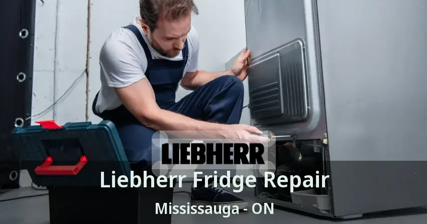 Liebherr Fridge Repair Mississauga - ON