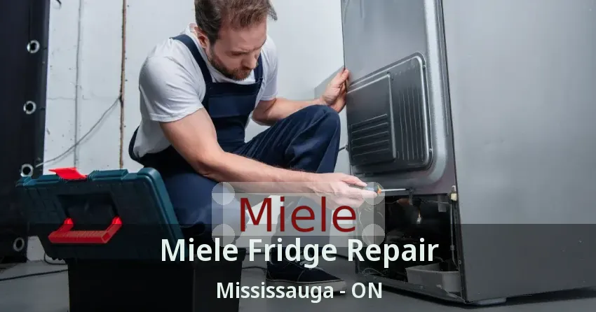 Miele Fridge Repair Mississauga - ON