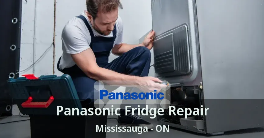 Panasonic Fridge Repair Mississauga - ON