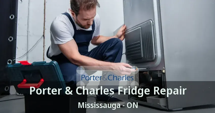 Porter & Charles Fridge Repair Mississauga - ON