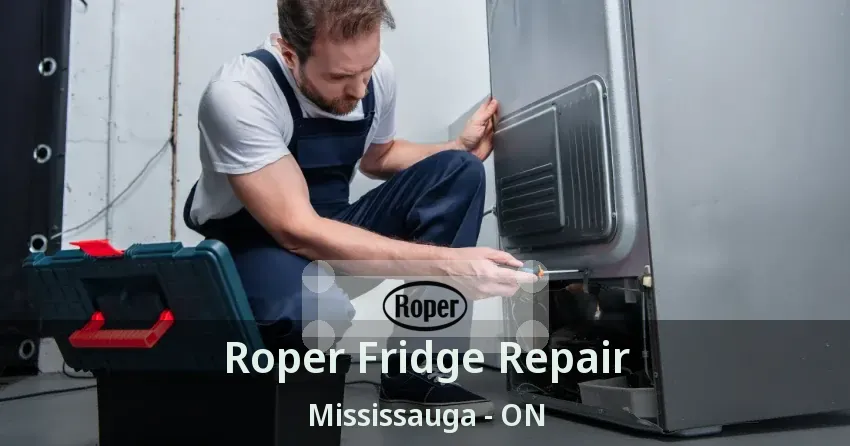 Roper Fridge Repair Mississauga - ON