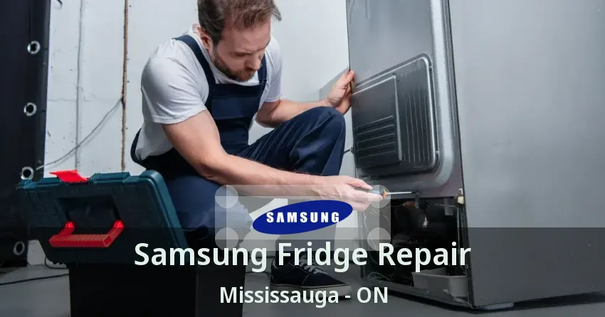 Samsung Fridge Repair Mississauga - ON