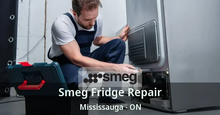 Smeg Fridge Repair Mississauga - ON