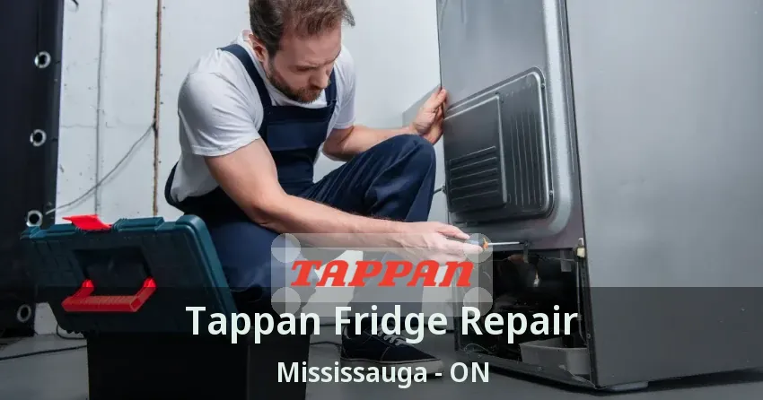 Tappan Fridge Repair Mississauga - ON