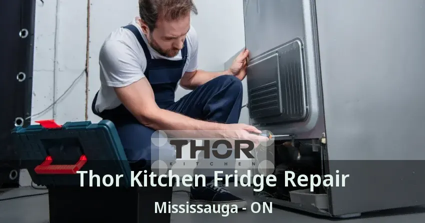 Thor Kitchen Fridge Repair Mississauga - ON