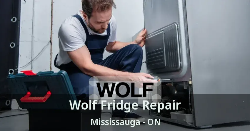 Wolf Fridge Repair Mississauga - ON