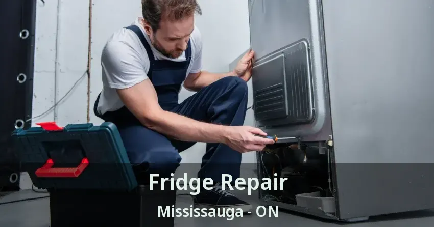 Fridge Repair Mississauga - ON