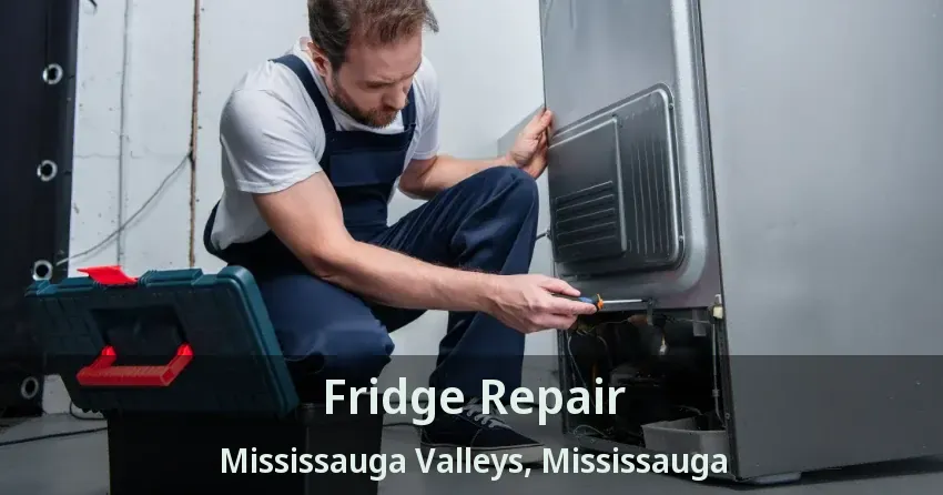 Fridge Repair Mississauga Valleys, Mississauga - ON
