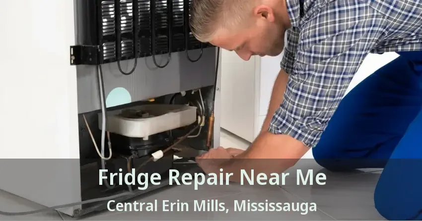 Fridge Repair Near Me Central Erin Mills, Mississauga - ON