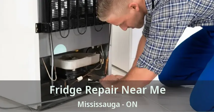 Fridge Repair Near Me Mississauga - ON