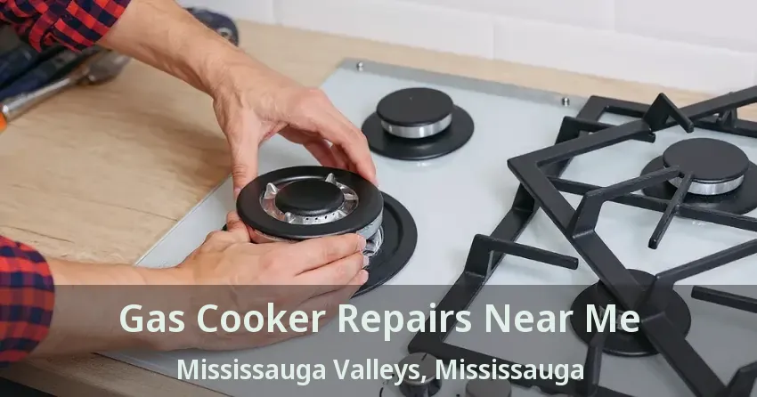 Gas Cooker Repairs Near Me Mississauga Valleys, Mississauga - ON