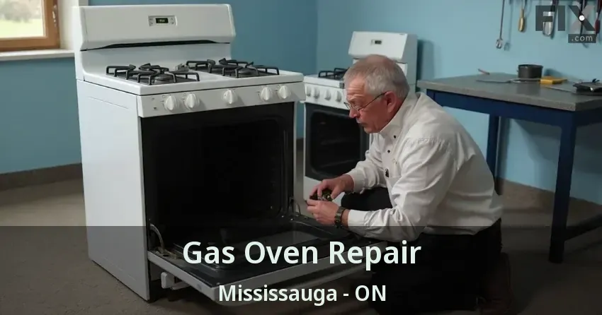 Gas Oven Repair Mississauga - ON