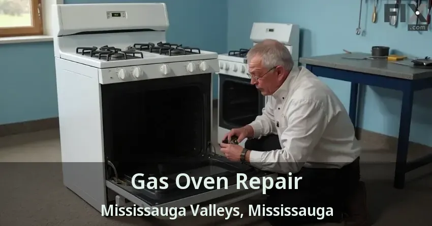 Gas Oven Repair Mississauga Valleys, Mississauga - ON