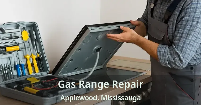 Gas Range Repair Applewood, Mississauga - ON