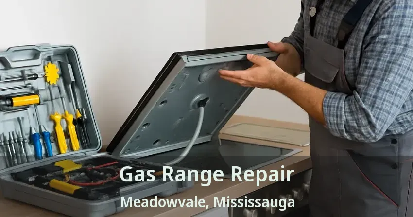 Gas Range Repair Meadowvale, Mississauga - ON