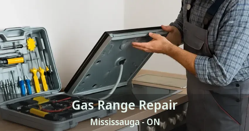 Gas Range Repair Mississauga - ON