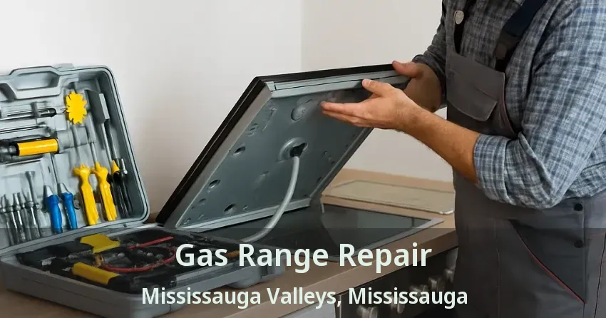 Gas Range Repair Mississauga Valleys, Mississauga - ON