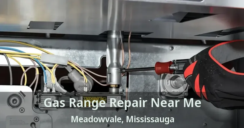 Gas Range Repair Near Me Meadowvale, Mississauga - ON