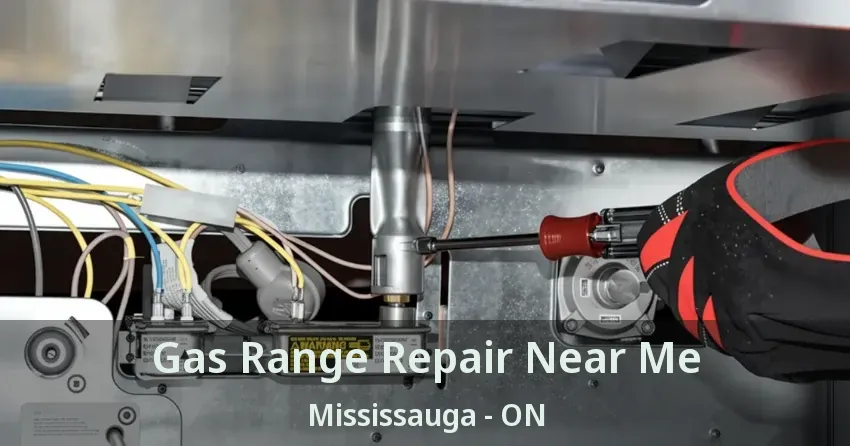 Gas Range Repair Near Me Mississauga - ON
