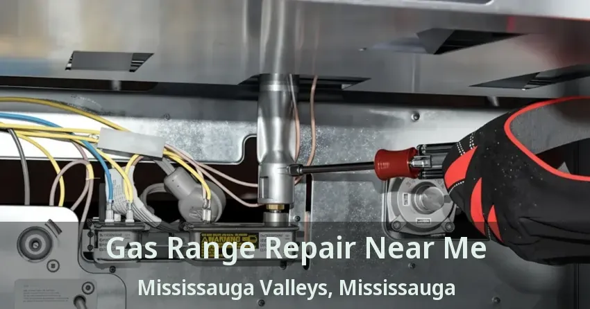 Gas Range Repair Near Me Mississauga Valleys, Mississauga - ON