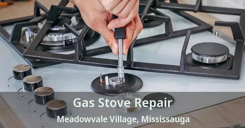 Gas Stove Repair Meadowvale Village, Mississauga - ON