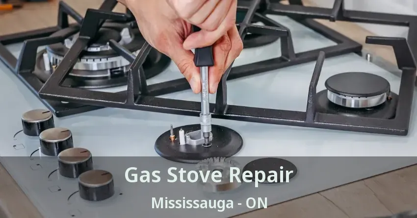 Gas Stove Repair Mississauga - ON