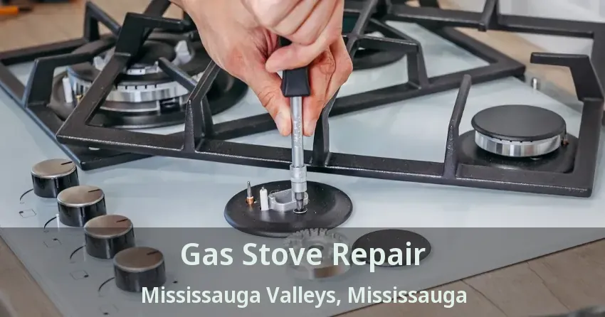 Gas Stove Repair Mississauga Valleys, Mississauga - ON