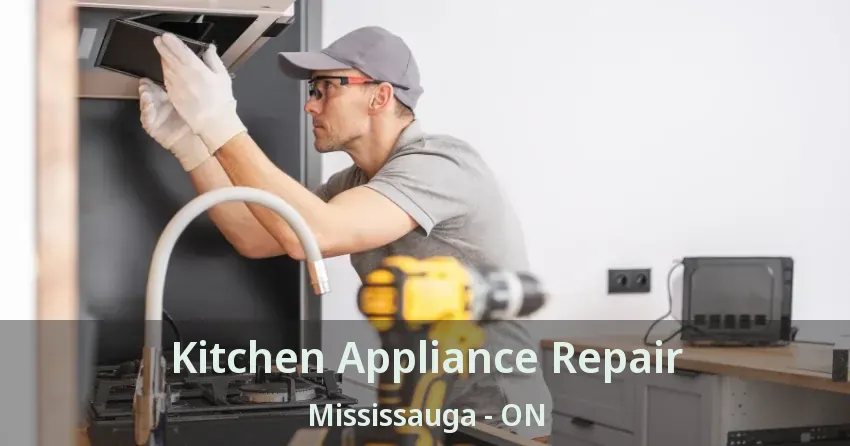 Kitchen Appliance Repair Mississauga - ON