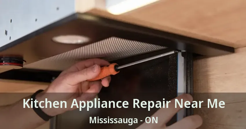 Kitchen Appliance Repair Near Me Mississauga - ON