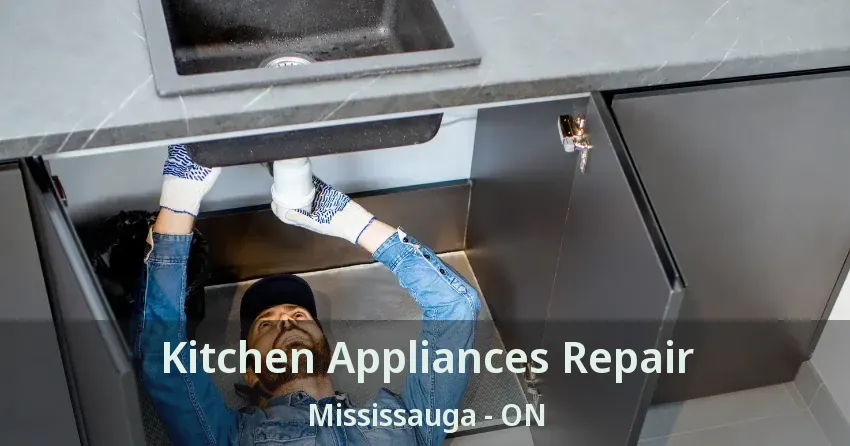 Kitchen Appliances Repair Mississauga - ON