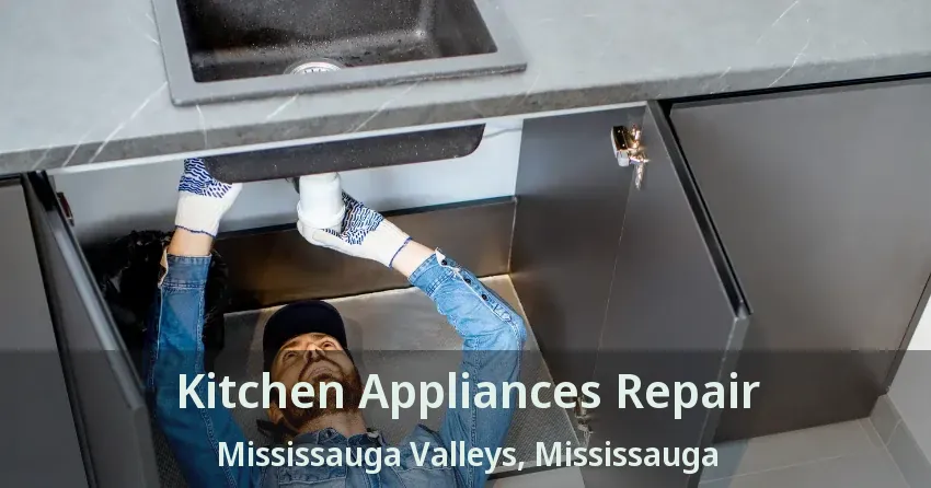 Kitchen Appliances Repair Mississauga Valleys, Mississauga - ON