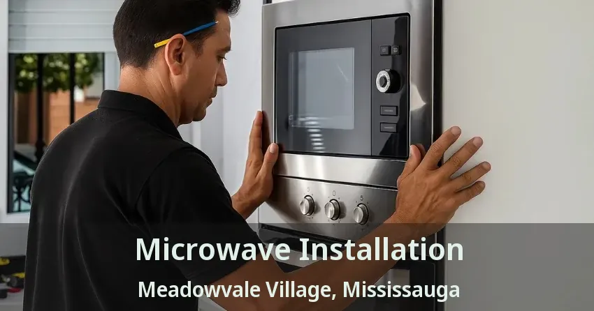 Microwave Installation Meadowvale Village, Mississauga - ON