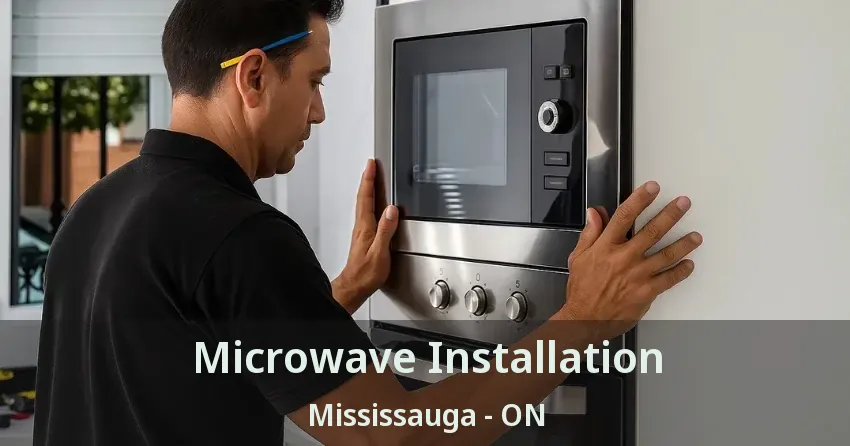 Microwave Installation Mississauga - ON