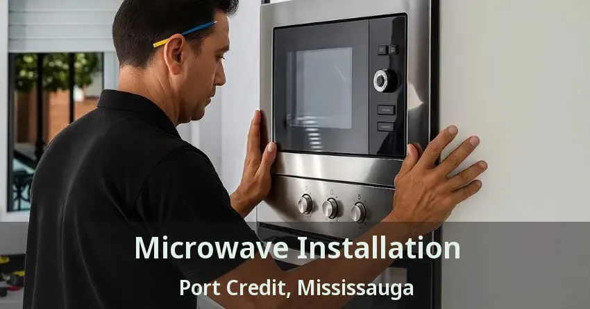 Microwave Installation Port Credit, Mississauga - ON