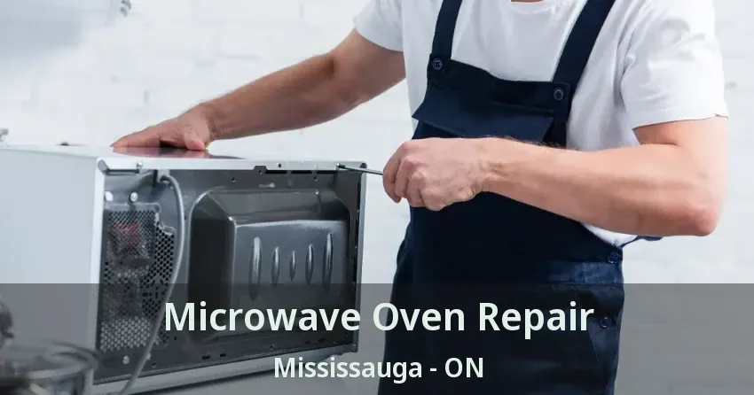 Microwave Oven Repair Mississauga - ON