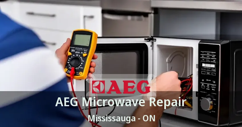 AEG Microwave Repair Mississauga - ON