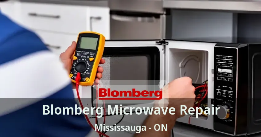 Blomberg Microwave Repair Mississauga - ON