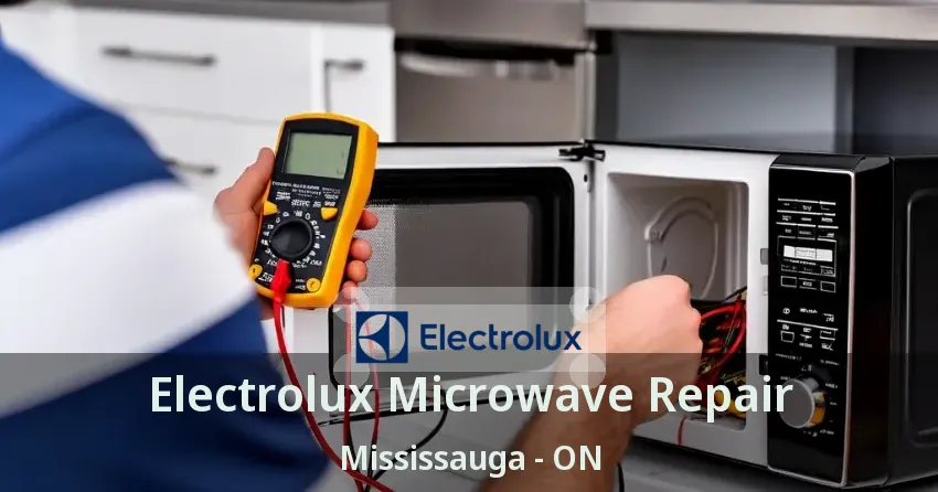 Electrolux Microwave Repair Mississauga - ON