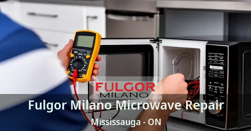 Fulgor Milano Microwave Repair Mississauga - ON