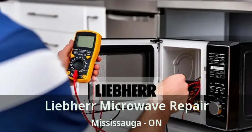 Liebherr Microwave Repair Mississauga - ON