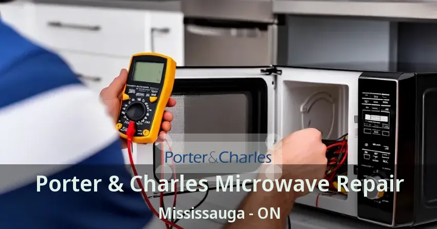Porter & Charles Microwave Repair Mississauga - ON