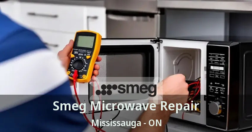 Smeg Microwave Repair Mississauga - ON