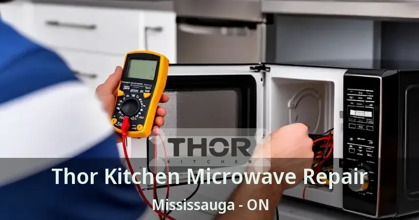 Thor Kitchen Microwave Repair Mississauga - ON