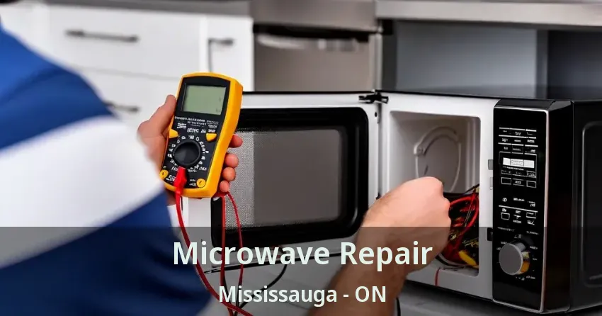 Microwave Repair Mississauga - ON