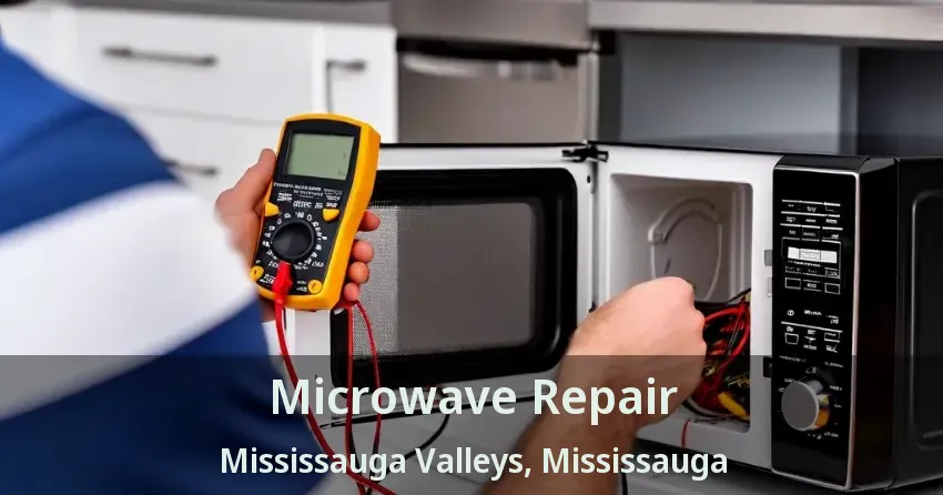 Microwave Repair Mississauga Valleys, Mississauga - ON