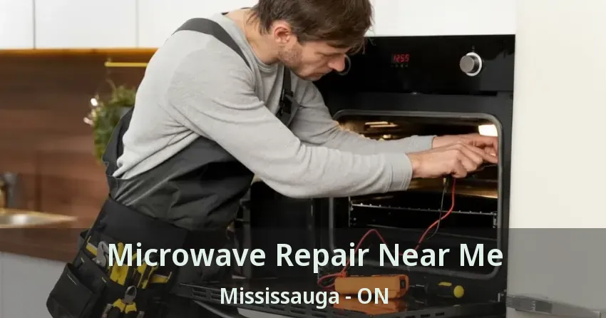 Microwave Repair Near Me Mississauga - ON