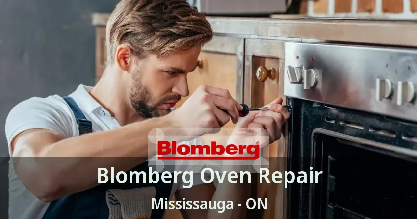 Blomberg Oven Repair Mississauga - ON
