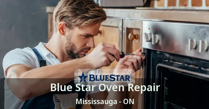 Blue Star Oven Repair Mississauga - ON